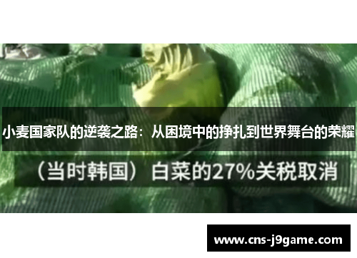 小麦国家队的逆袭之路:从困境中的挣扎到世界舞台的荣耀 小麦国家队的逆袭之路:从困境中的挣扎到世界舞台的荣耀