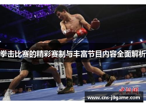 拳击比赛的精彩赛制与丰富节目内容全面解析