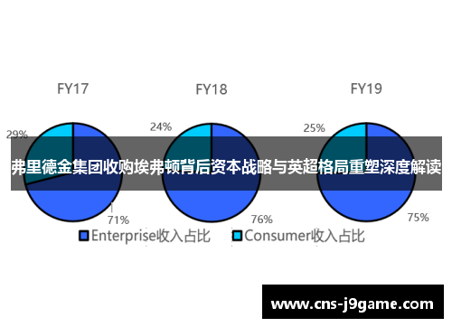 弗里德金集团收购埃弗顿背后资本战略与英超格局重塑深度解读